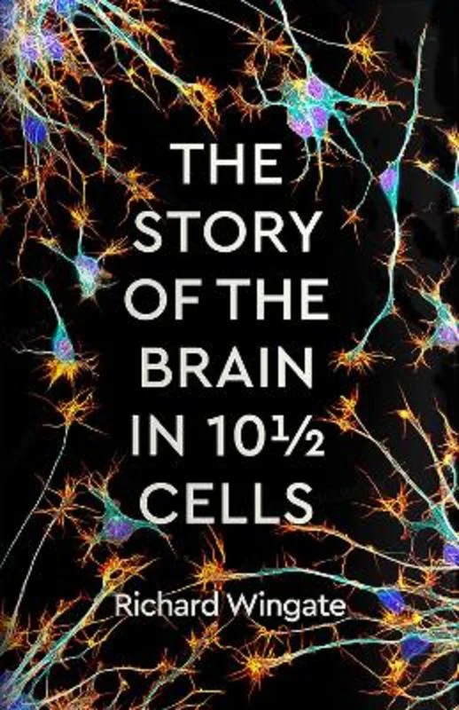 - Pet water dispenser UV sterilization versionThe Story of the Brain in 101/2 Cells